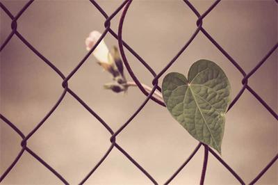 就读方式怎么填写才正确？正确填写就读方式的方法