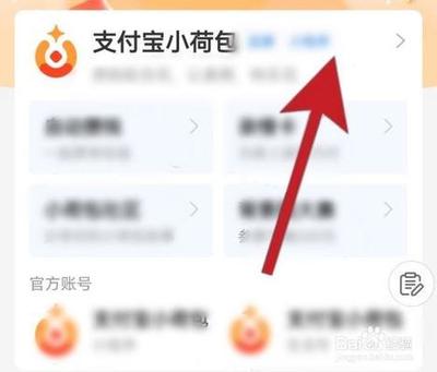 支付宝小荷包注销了退款会退到哪里？还会扣钱吗？