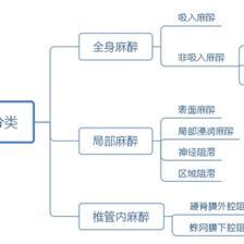 课程类型主要有哪几种?常见课程类型的分类和特点 课程类型主要有哪几种?常见课程类型的分类和特点