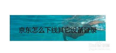 京东app怎么管理登陆过的设备? 