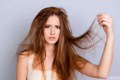 减肥会掉头发吗 减肥掉头发怎么办