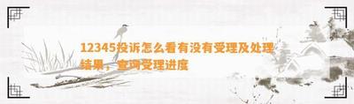 12345受理结果查询，如何查看12345投诉处理进度和结果？