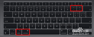 MAC系统怎么缩小图片？MAC缩小图片教程