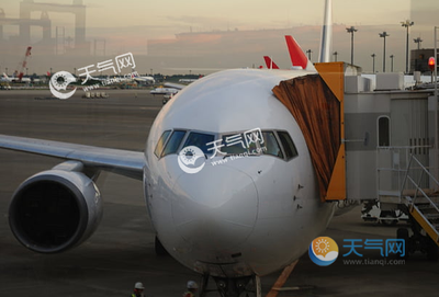 粽子能带上飞机吗 粽子能不能带上飞机呢