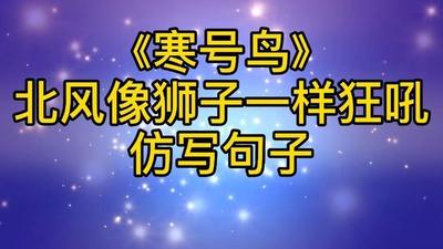 北风像狮子一样狂吼仿写句子二年级，仿写类似的句子