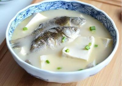鲫鱼豆腐汤的做法又白又浓香怎么做？