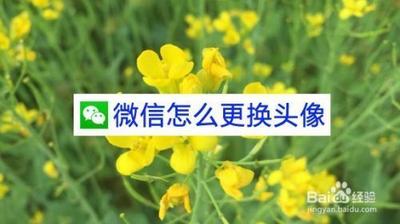 微信头像怎么换的步骤