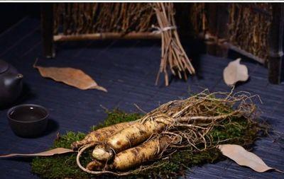 白参要怎么保存 白参保质期多长时间