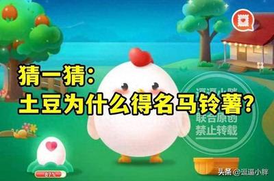 土豆为什么又叫马铃薯？了解土豆的别名及由来