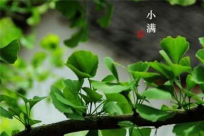 小满节气可以同房吗 小满节气禁忌