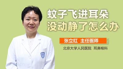 有蚊子飞进耳朵怎么办 蚊子飞进耳朵怎么办 有蚊子飞进耳朵怎么办 蚊子飞进耳朵怎么办