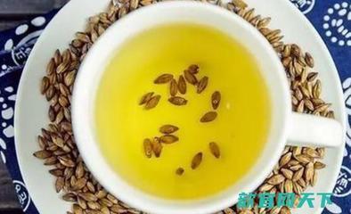 大麦茶可以减肥吗 大麦茶的作用和功效 大麦茶可以减肥吗 大麦茶的作用和功效