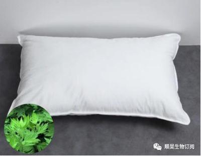艾叶可以用来做枕头吗 艾叶做枕头有什么功效