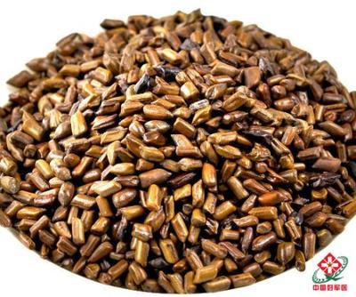 决明子的功效 决明子的副作用