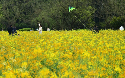 玩物丧志是什么意思？解释&lsquo;玩物丧志&rsquo;这一成语