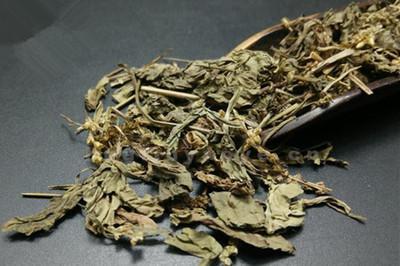 车前草的营养成分 车前草的副作用有哪些