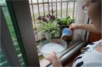 浇花可以用凉开水吗 浇花用什么水好 浇花可以用凉开水吗 浇花用什么水好
