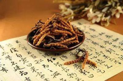 冬虫夏草的吃法和用量 冬虫夏草吃多了会怎样