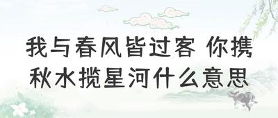 我与春风皆过客 你携秋水揽星河是什么意思？解读诗句的深意