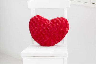 鹅的寿命有多长？了解鹅的生命周期