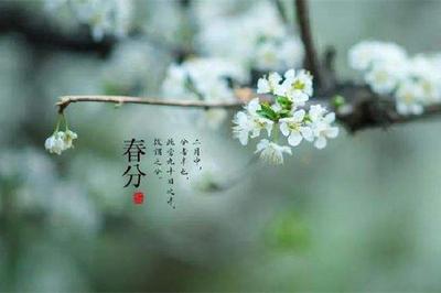 春分是的几月几日 春分是第几个节气