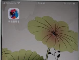 有道翻译官怎么换声音 有道翻译官更换对话发音模式方法