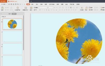 怎么在ppt中给图片添加边框