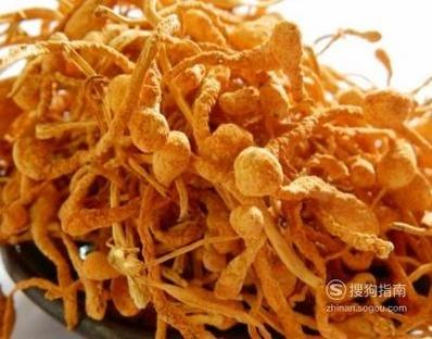虫草花要怎样清洗浸泡 虫草花可以炒着吃吗