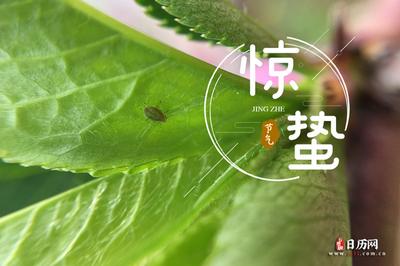 惊蛰三候是什么意思 惊蛰分为哪三候