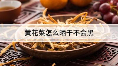 黄花菜晒干要去花心吗 黄花菜晒干的方法