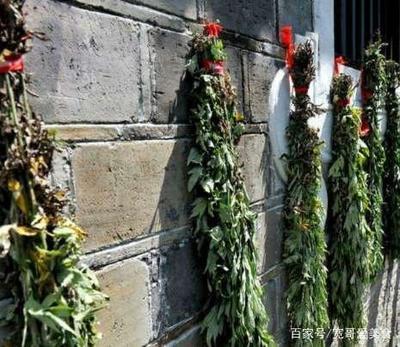 艾草有辟邪的作用吗 艾草适合什么人群服用