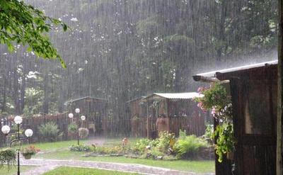 三伏天可以喝姜枣茶吗 三伏天喝三豆汤是指哪三豆