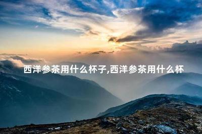 西洋参茶用什么杯子 西洋参茶怎么泡