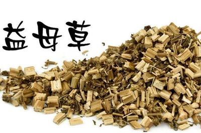 益母草的危害 益母草真的致癌吗