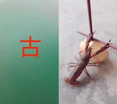 古加偏旁组新字，如何通过偏旁部首构造新字