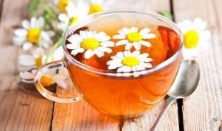 菊花茶可以一直泡着吗 菊花茶泡多长时间最好