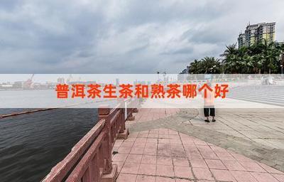 普洱茶生茶好还是熟茶好 普洱茶生茶熟茶什么区别