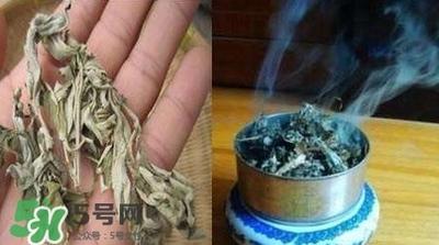 艾叶能驱蚊子吗 艾叶驱蚊子用干的还是新鲜艾叶