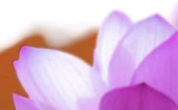 夏至怎么发朋友圈 夏至有什么祝福语