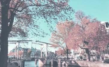 立秋后吃什么鱼好？秋老虎吃什么解暑？