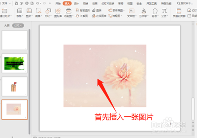 ppt怎么把图片截成其他形状