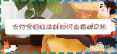 蚂蚁森林如何查看个人碳足迹