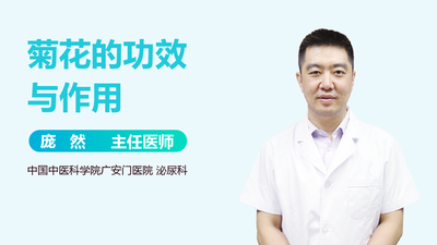 菊花有什么种类 菊花有什么功效呢