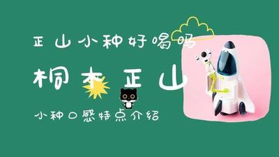 正山小种加牛奶可以吗 正山小种加牛奶好喝吗