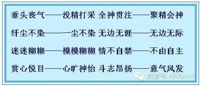 全神贯注近义词有哪些？类似的表达方式
