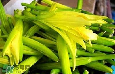 黄花菜可以治疗痛风吗 黄花菜的功效和作用 黄花菜可以治疗痛风吗 黄花菜的功效和作用