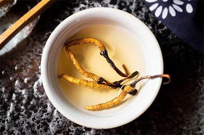 虫草可以泡酒吗 虫草泡酒的正确方法