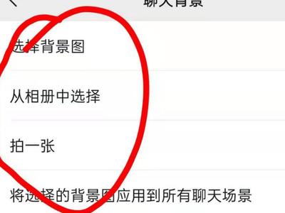 微信免费主题设置，微信主题设置自定义，最新方法来了！