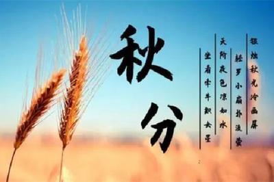 秋分是的几月几日 秋分是进入秋天的意思吗