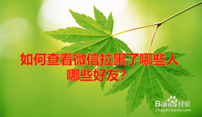 微信查看拉黑名单，看看你都拉黑了哪些好友？